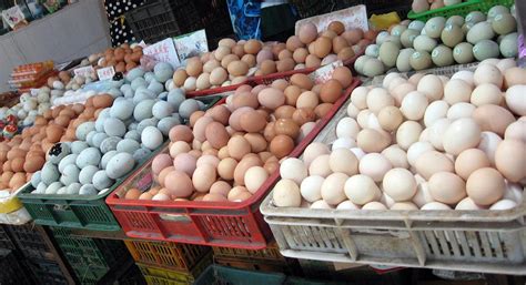 where are the markets for eggs that come from china